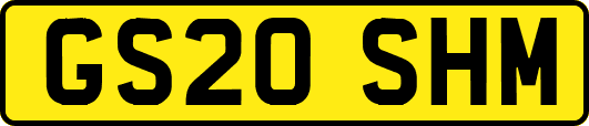 GS20SHM