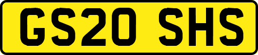 GS20SHS