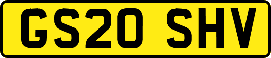 GS20SHV