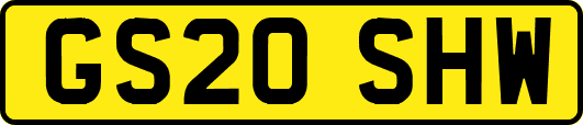 GS20SHW