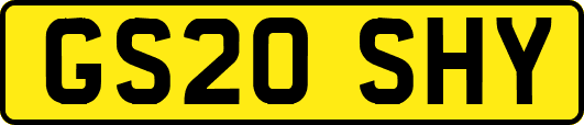 GS20SHY