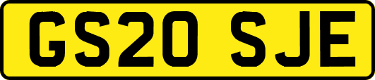 GS20SJE
