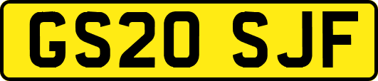 GS20SJF