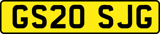 GS20SJG