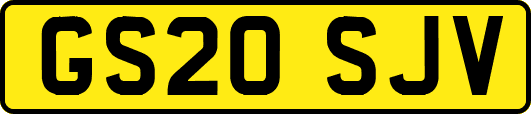 GS20SJV