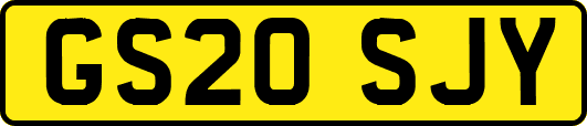 GS20SJY