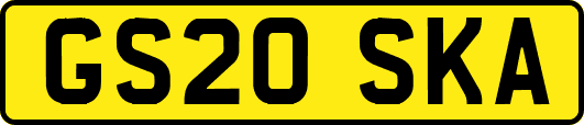 GS20SKA