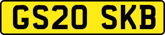 GS20SKB