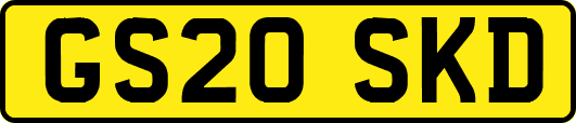GS20SKD