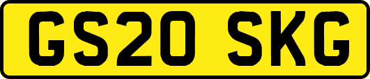 GS20SKG