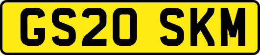 GS20SKM