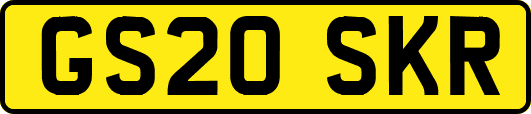 GS20SKR