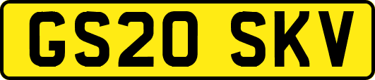 GS20SKV
