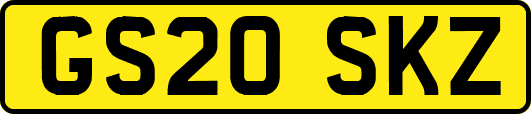 GS20SKZ