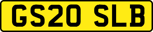 GS20SLB