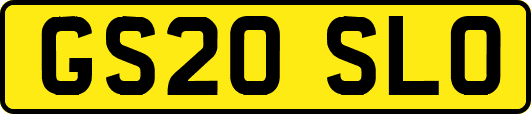 GS20SLO
