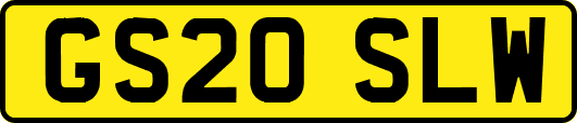 GS20SLW