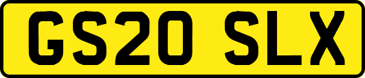 GS20SLX