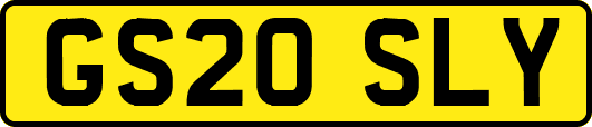 GS20SLY