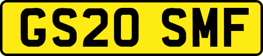GS20SMF