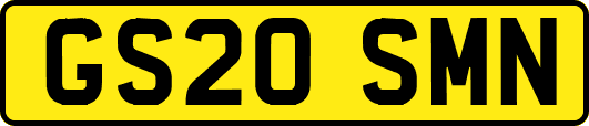 GS20SMN
