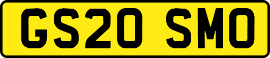 GS20SMO