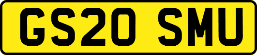 GS20SMU