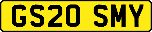 GS20SMY