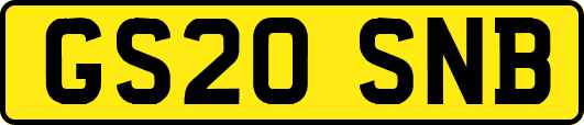 GS20SNB