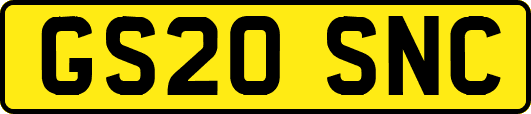 GS20SNC