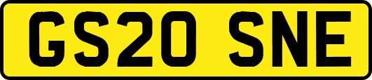 GS20SNE