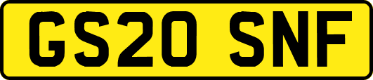 GS20SNF
