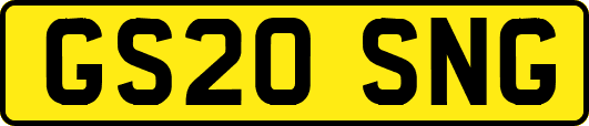 GS20SNG