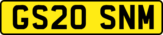 GS20SNM