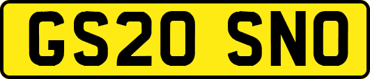 GS20SNO