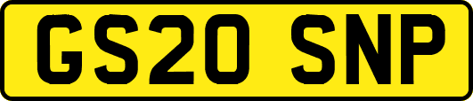 GS20SNP