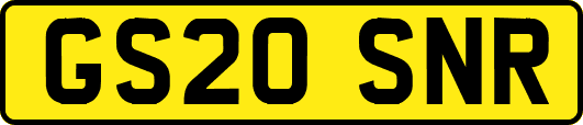 GS20SNR
