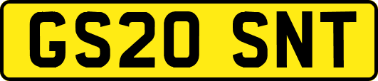 GS20SNT