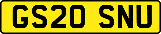 GS20SNU