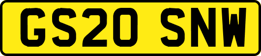 GS20SNW