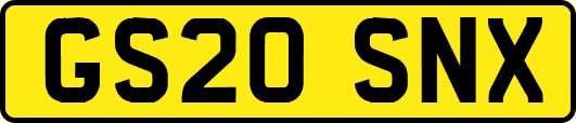 GS20SNX