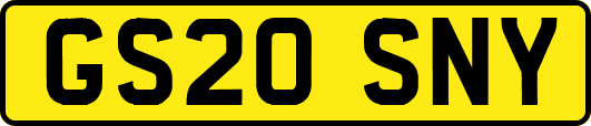 GS20SNY