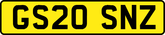 GS20SNZ