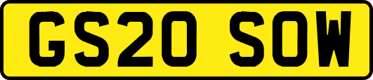 GS20SOW