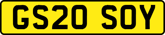 GS20SOY