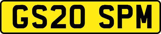 GS20SPM