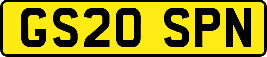 GS20SPN