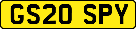 GS20SPY