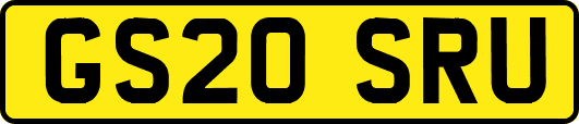 GS20SRU