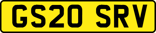 GS20SRV